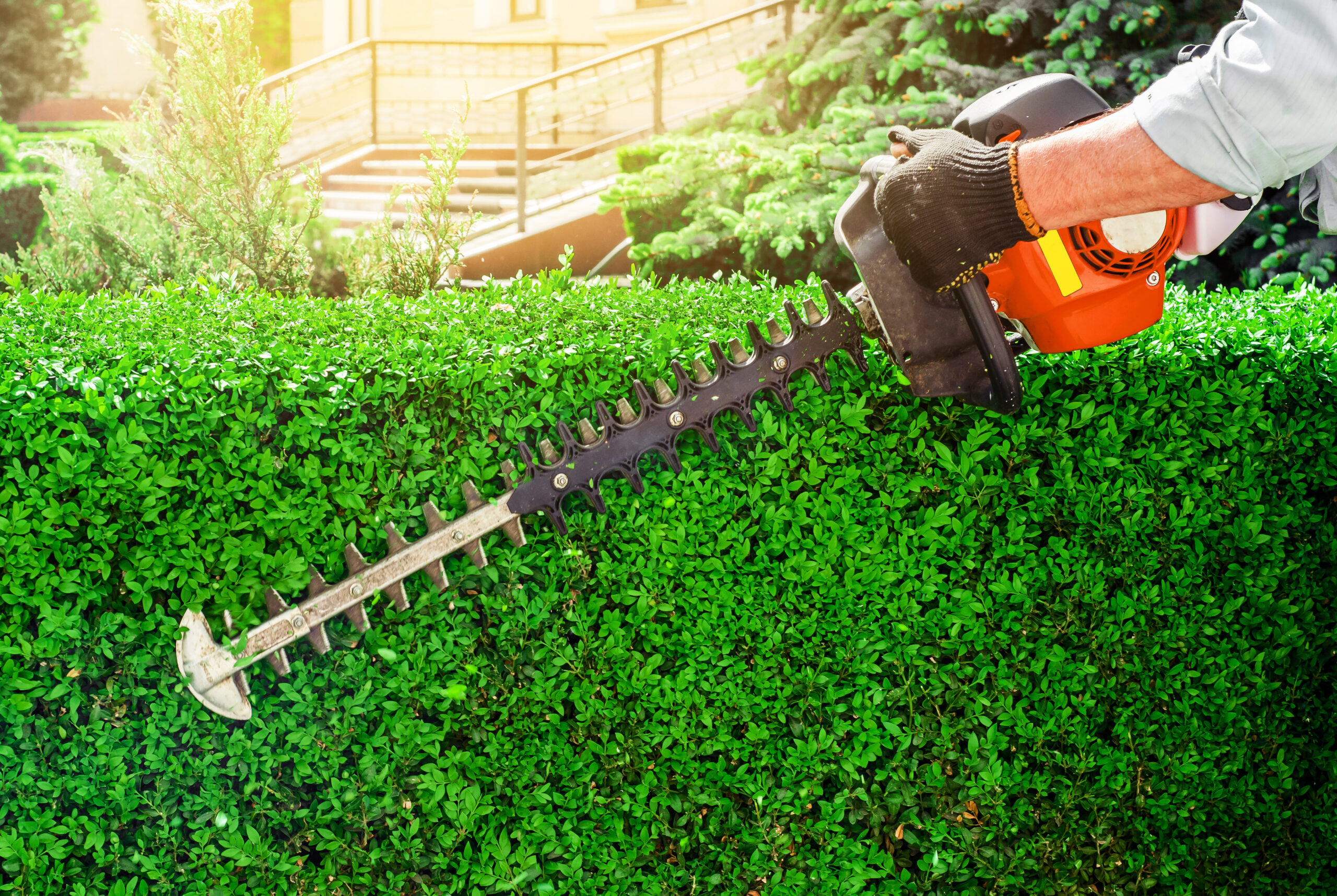 landscape-maintenance-39